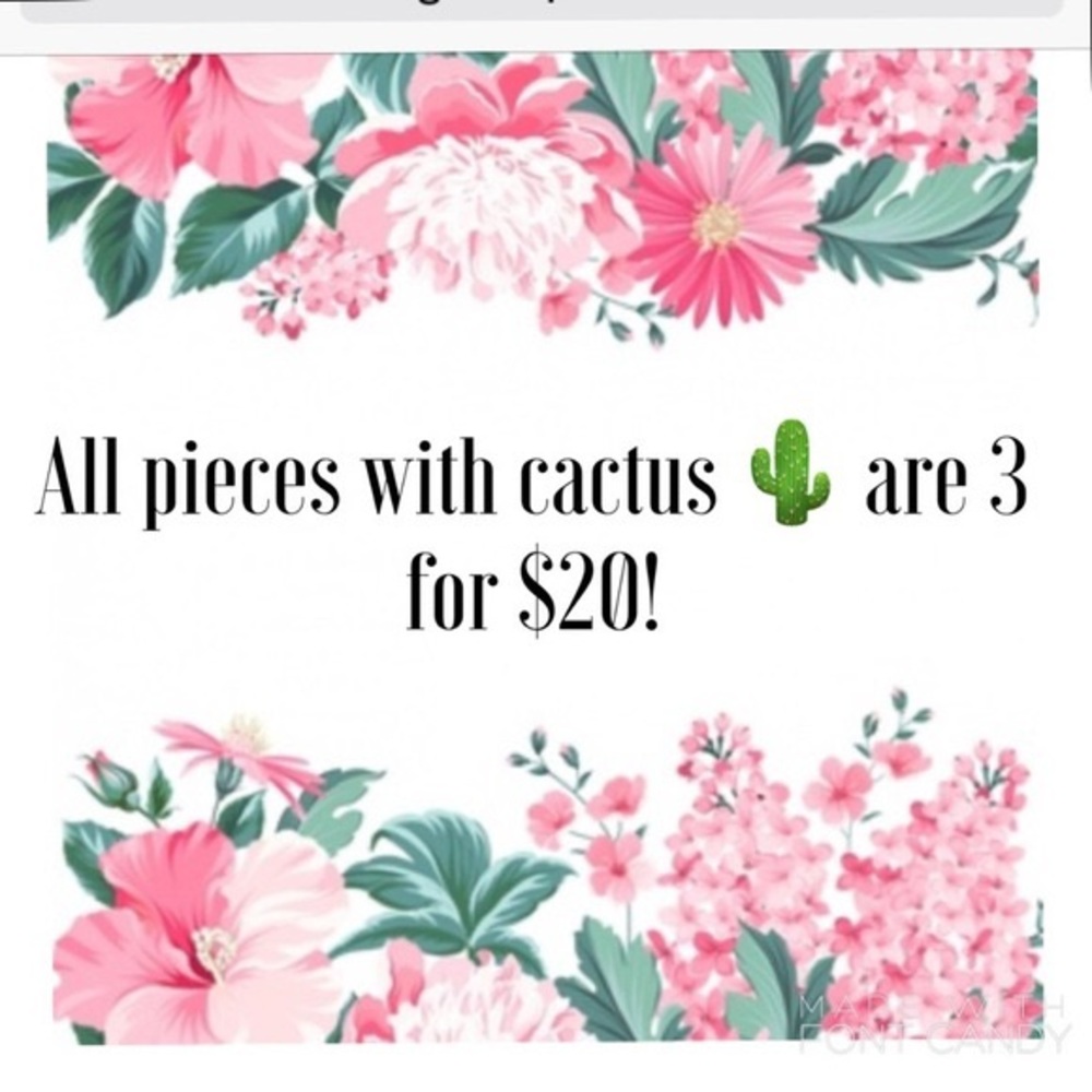 🌵🌵 Everything with a cactus 3 for $20 🌵🌵